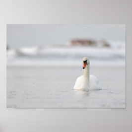 Poster Cisne em um pôster de paisagem marinha congelada