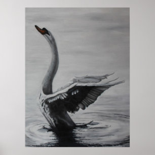 Póster Cisne (lado adequado)
