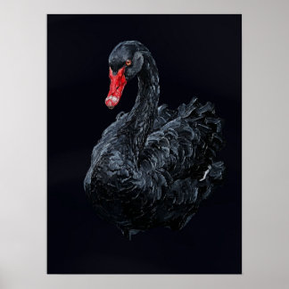 Poster Cisne Negro — Impasto de Vida Selvagem Gótica