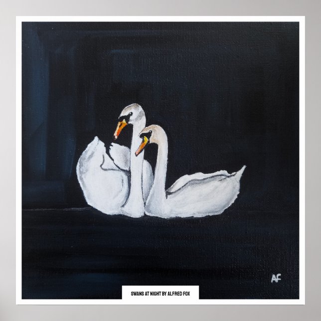 Poster Cisnes à Noite Pintura de Alfred Fox (Frente)