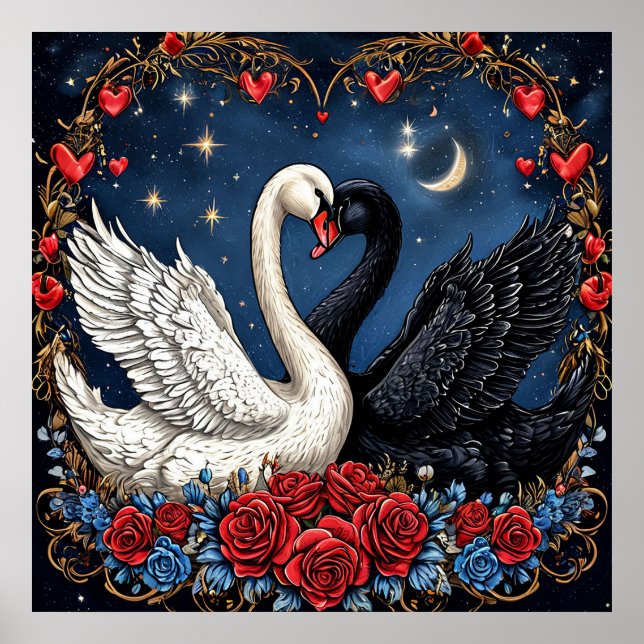 Poster Cisnes brancas e negras com coração e Rosas (Frente)
