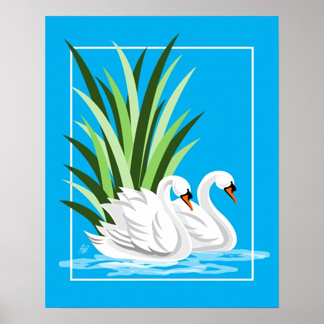 Poster Cisnes Brancas Elegantes Sobre Água Azul (Frente)