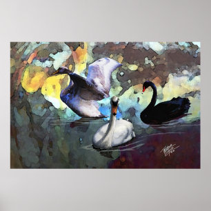 Póster Cisnes chinesas do estilo da aguarela que nadam