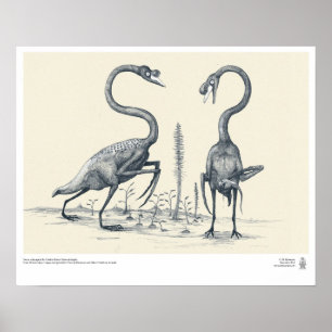Póster Cisnes como imaginado pelos Palaeontologists