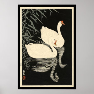 Póster Cisnes do vintage de Ohara Koson