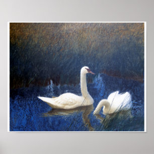 Poster Cisnes em Reeds, Bruno Liljefors