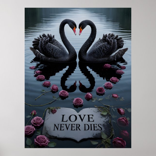 Poster Cisnes Negros Românticos Reflexo do Coração com Te (Frente)