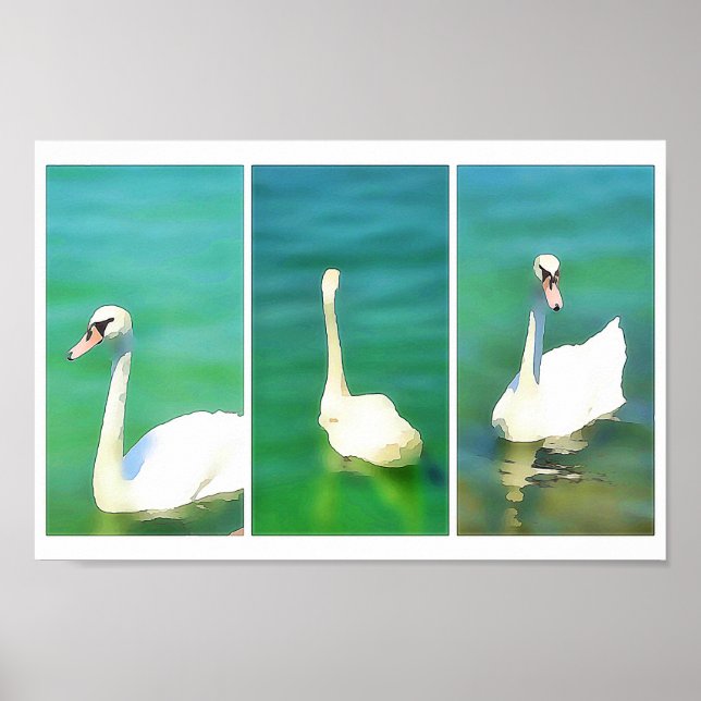 Poster Cisnes no lago Balaton - triptych (Frente)
