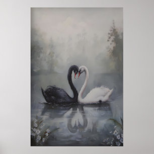 Poster Cisnes pretos e brancos em lago enevoado escuro