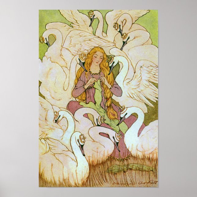 Poster Cisnes selvagens (Frente)