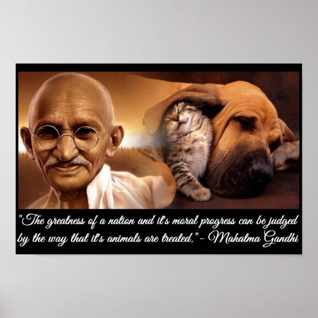 Póster Citação Animal Ghandi (Frente)