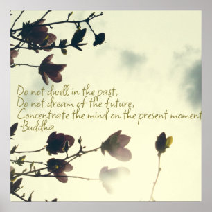 Póster Citação buda na pasta