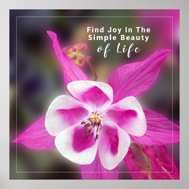 Poster Citação Com Foto De Flor Columbine (Frente)