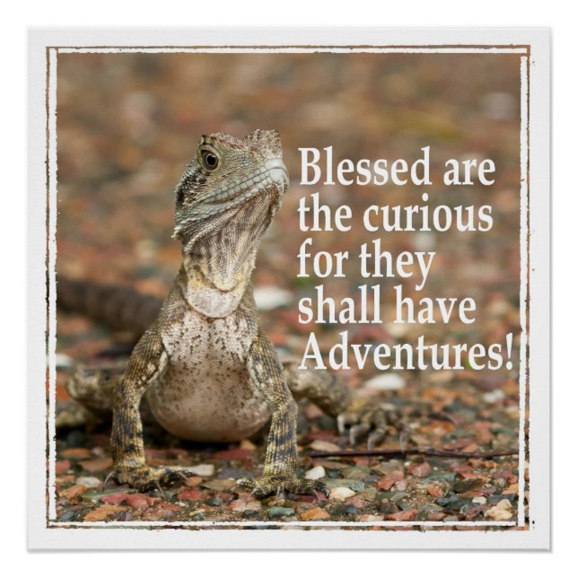 Póster Citação Curiosa (Frente)