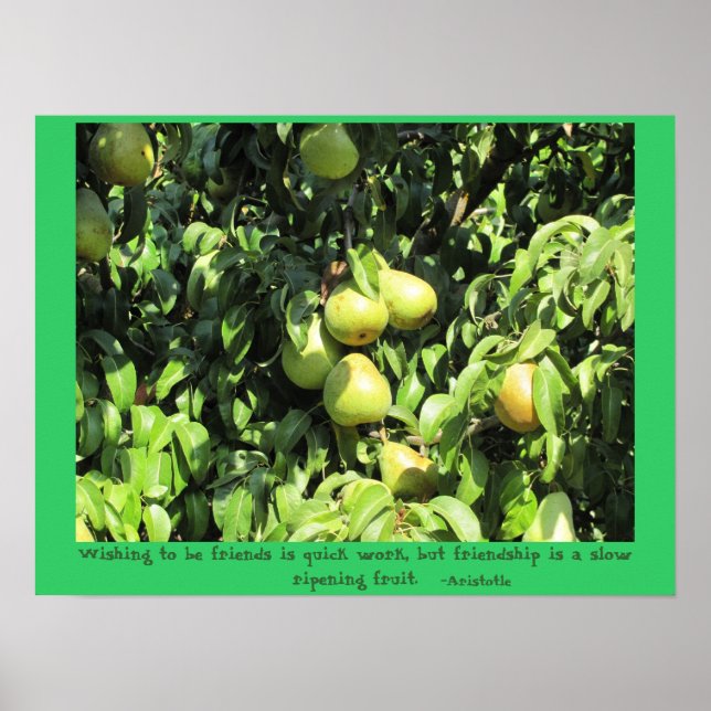 Poster Citação de amizade de Aristóteles (Frente)