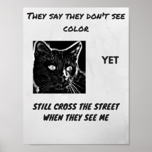 Poster Citação de gato preto de superstição do racism