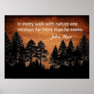 Poster citação de John Muir