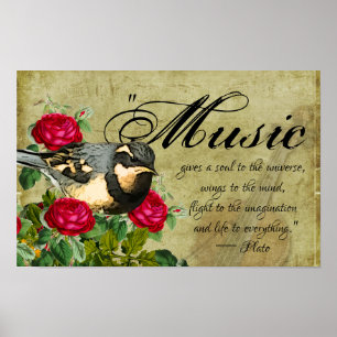 Poster Citação de Música, Pássaro Tordo e Rosas, Violino