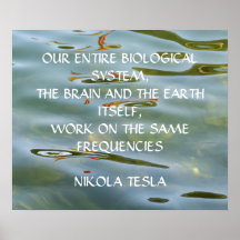 CITAÇÃO DE NIKOLA TESLA - MESMAS FREQUÊNCIAS -