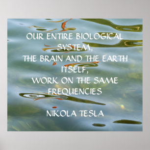 POSTER CITAÇÃO DE NIKOLA TESLA - MESMAS FREQUÊNCIAS -