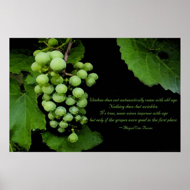 Poster Citação de Sabedoria (Frente)