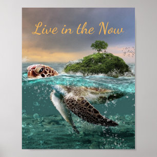 Poster Citação de Tartaruga Motivacional ao Vivo no Ago