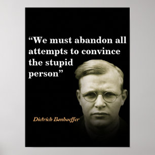 Poster Citação Dietrich Bonhoeffer Nas Pessoas Estúpidas