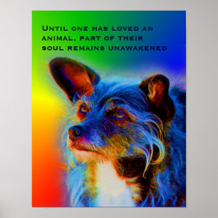 Póster Citação do Amor Animal Inspiradora
