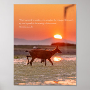 Poster Citação do Sunset Gandhi