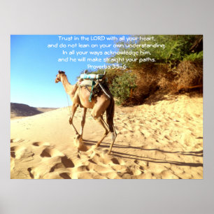 Poster Citação dos Versos da bíblia sobre Proverbos de Co