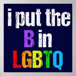 Poster Citação Engraçada do Humor do Arco-Íris Bissexual 
