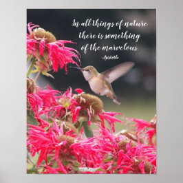 Poster Citação Filosófica de Aristóteles sobre Beija-flor