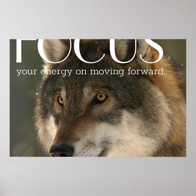 Poster Citação Foco no Incentivo à Imagem do Lobo (Frente)