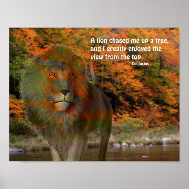 Póster Citação Inspiracional Lion Confucius (Frente)