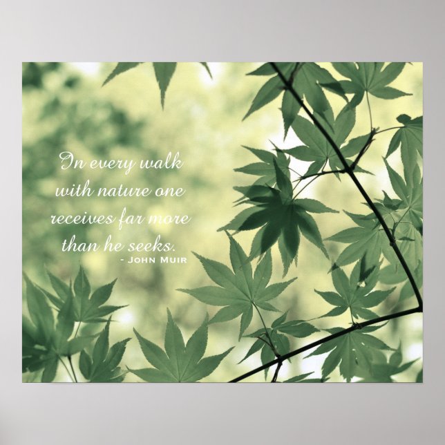 Poster Citação Inspiradora da Natureza (Frente)
