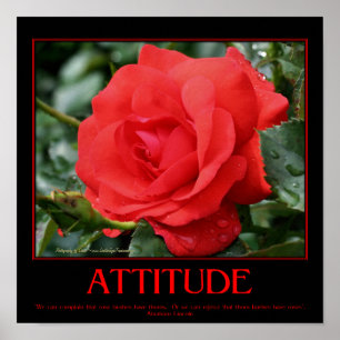 Póster Citação Inspiradora de Atitude Espinhos de Rosas V