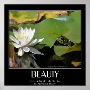 Poster Citação Inspiradora de Beleza de Sapo e Flor de Ló