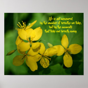 Poster Citação Inspiradora de Vida Flores Silvestres 
