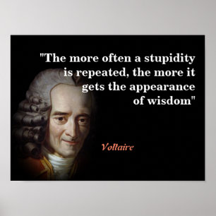 Poster Citação Voltaire Sobre Estupidez E Sabedoria