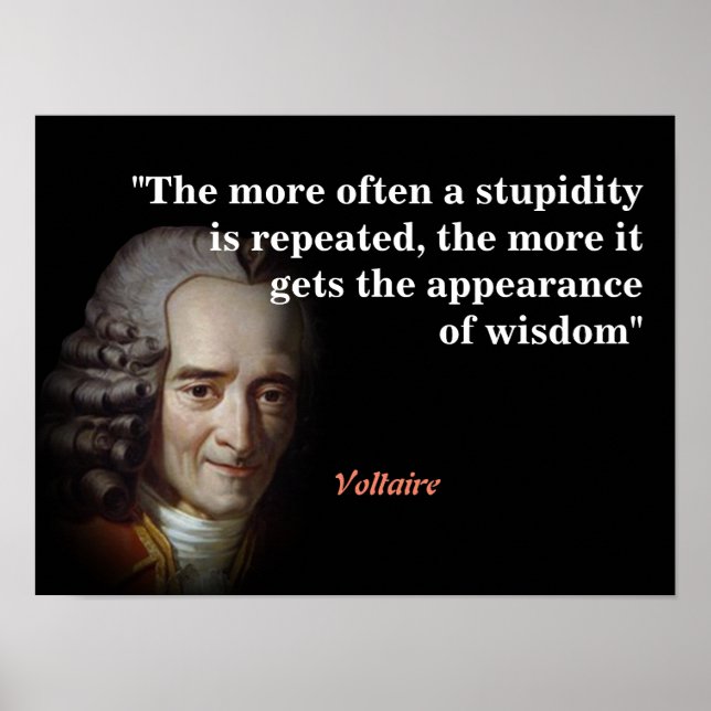 Poster Citação Voltaire Sobre Estupidez E Sabedoria (Frente)