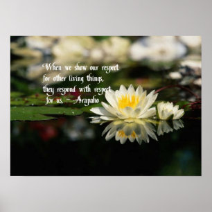 Poster Citações Americanas Nativas