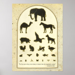 Poster Citações animais de Leonardo da Vinci do ~ da