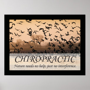 Póster Citações Chiropracáticas & Sayings Nature