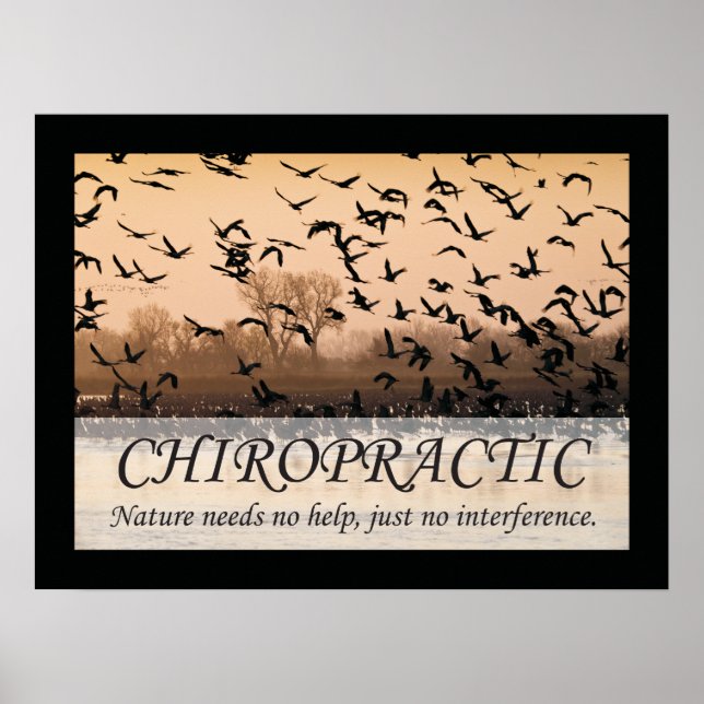 Póster Citações Chiropracáticas & Sayings Nature (Frente)