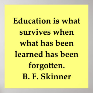 Poster citações de B F Skinner