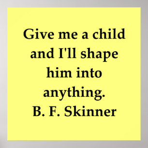 Poster citações de B F Skinner