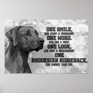 Poster Citações de Rhodesian Ridgeback