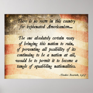 Póster Citações de Teddy Roosevelt