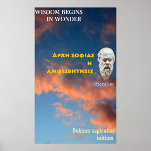 Póster Citações famosas de Socrates - a sabedoria come