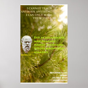Póster Citações famosas de Socrates - eu não posso